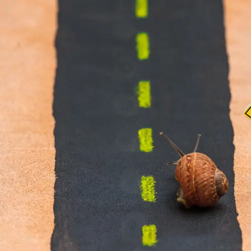 slow website image Fine